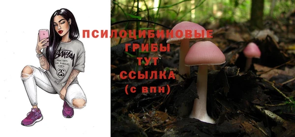 шишки Абаза