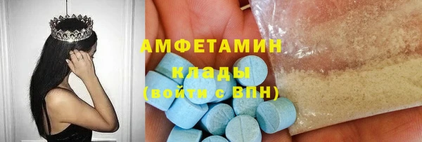 шишки Абаза