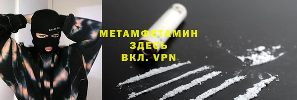 прущие грибы Волоколамск