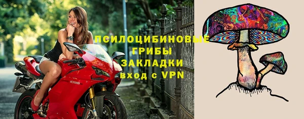 МДМА Козельск