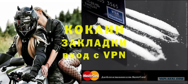 шишки Абаза