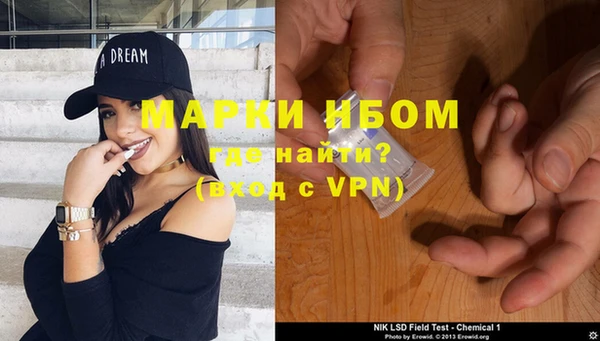 шишки Абаза