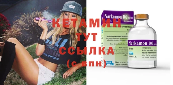 шишки Абаза