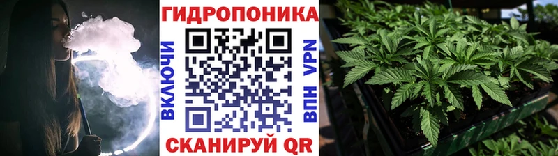 Бошки Шишки сатива где продают наркотики Горячеводский